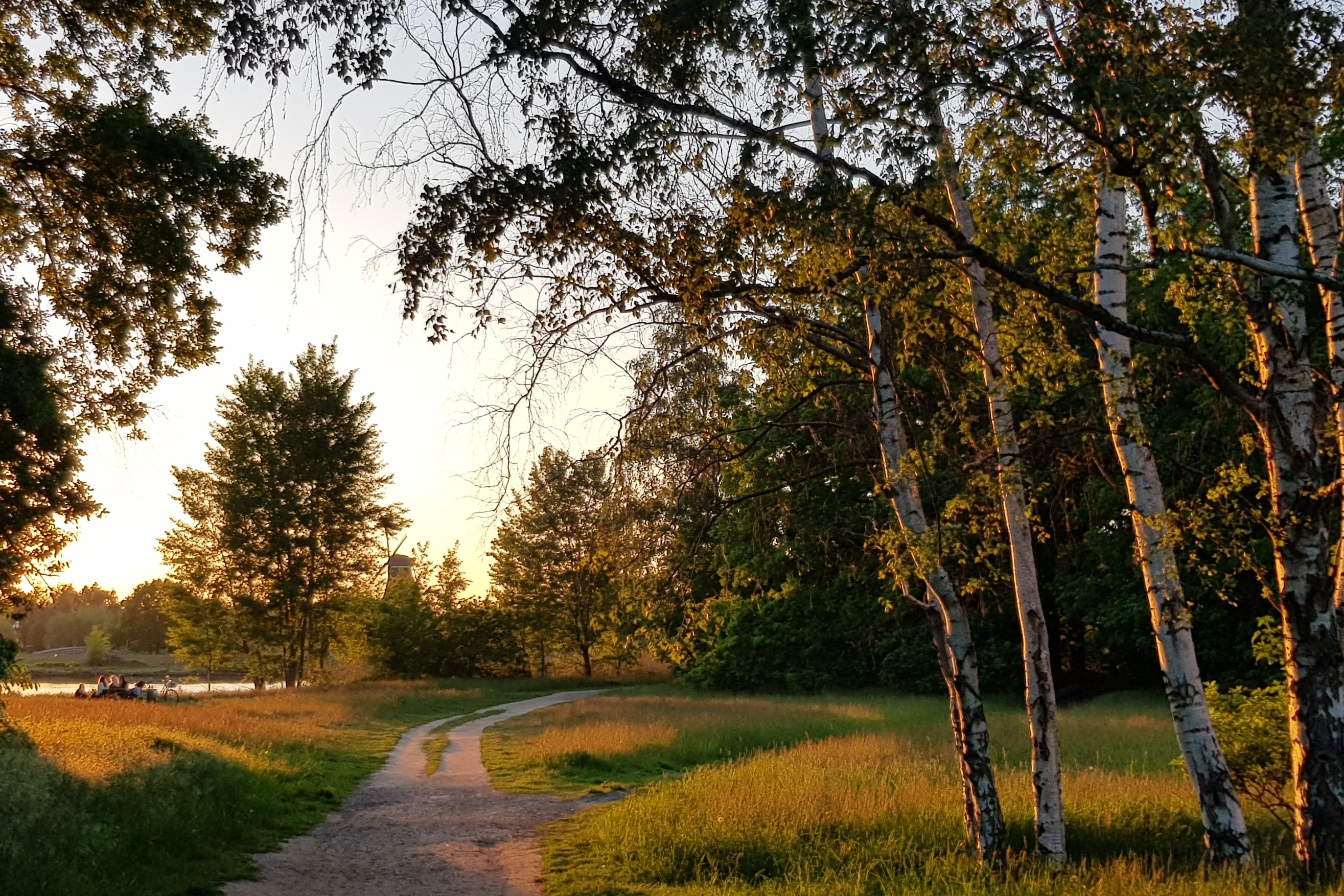 Schloßsee Gifhorn